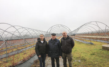 Zakładanie plantacji borówki w gospodarstwie Jerzego Wilczewskiego. Co się zmieniło w ostatnich latach?