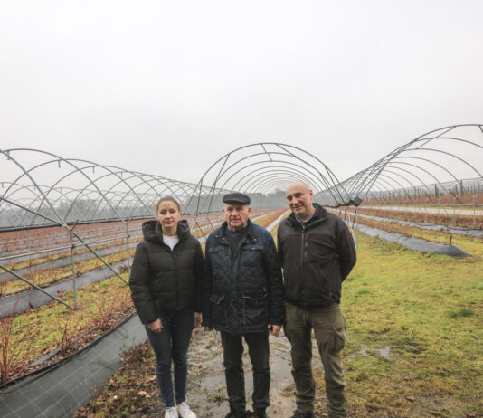 Zakładanie plantacji borówki w gospodarstwie Jerzego Wilczewskiego. Co się zmieniło w ostatnich latach?