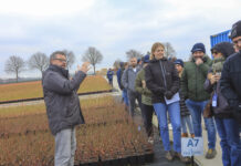 Nowe systemy uprawy borówki, jakość sadzonek i odmiany przyszłości