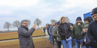 Nowe systemy uprawy borówki, jakość sadzonek i odmiany przyszłości