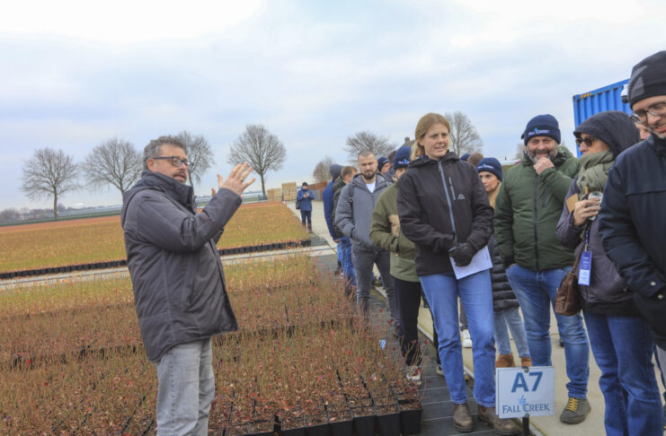 Nowe systemy uprawy borówki, jakość sadzonek i odmiany przyszłości