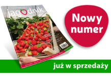 Jagodnik 8/2025 – już w sprzedaży!