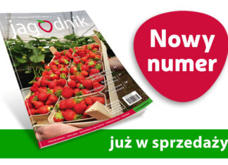 Jagodnik 8/2025 – już w sprzedaży!