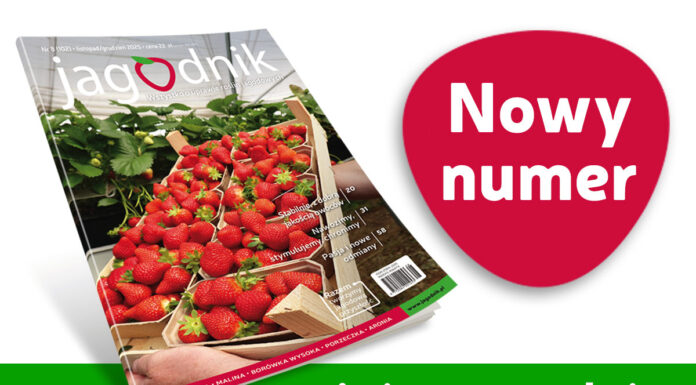 Jagodnik 8/2025 – już w sprzedaży!
