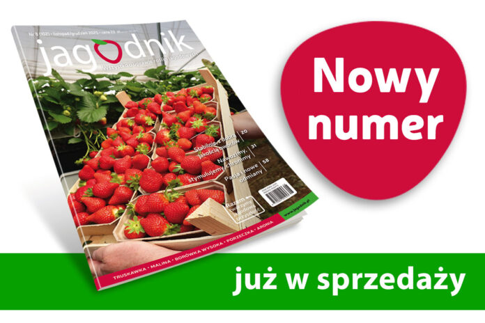 Jagodnik_nowy_numer_8-2025