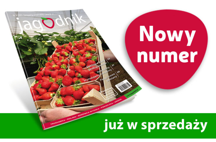Jagodnik 8/2025 – już w sprzedaży!