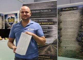 Zmiana technologii produkcji borówki wysokiej berryshield, borówka amerykańska, proberry