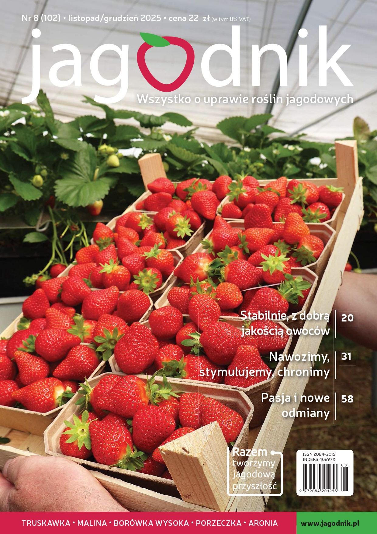 Jagodnik_8_2025