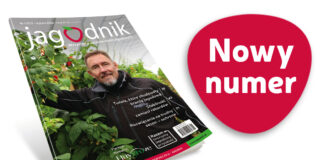 Jagodnik 1/2026 już w sprzedaży! Jagodnik