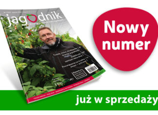 Jagodnik 1/2026 już w sprzedaży! Jagodnik