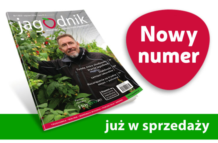 Jagodnik 1/2026 już w sprzedaży! Jagodnik
