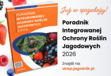 Najaktualniejsza wiedza o ochronie jagodowych w jednym miejscu