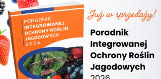 Najaktualniejsza wiedza o ochronie jagodowych w jednym miejscu