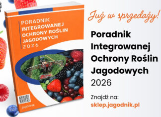 Najaktualniejsza wiedza o ochronie jagodowych w jednym miejscu