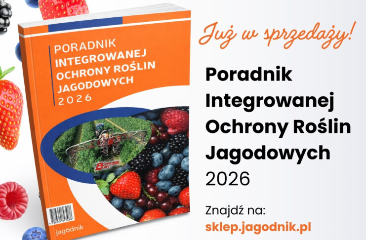 Najaktualniejsza wiedza o ochronie jagodowych w jednym miejscu