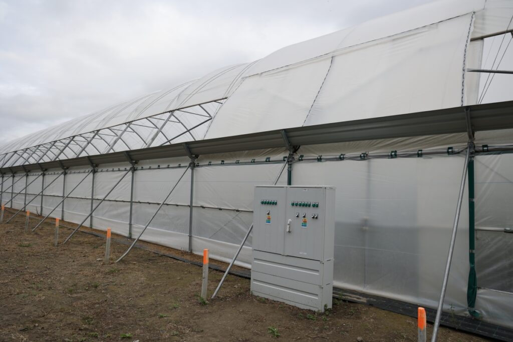 Tunele serii EZvent z automatycznym wietrzeniem  do uprawy borówki