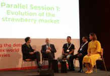 Państwo, rynek i presja regulacyjna na produkcję owoców jagodowych Michael Barker (pierwszy z lewej) prowadził debatę w której uczestniczyli (od lewej) Philippe Binard (BE), General delegate of Freshfel Europe, Huan Zhang (CN), Consultant and founder of Twinkle Star Berry, Nabil Belmkaddem (MA), GM Cooperative BestBerries (AMPFR) i Anouk Sijmonsma (BE), Regional manager Europe, The International Fresh Produce Association