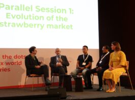 Państwo, rynek i presja regulacyjna na produkcję owoców jagodowych Michael Barker (pierwszy z lewej) prowadził debatę w której uczestniczyli (od lewej) Philippe Binard (BE), General delegate of Freshfel Europe, Huan Zhang (CN), Consultant and founder of Twinkle Star Berry, Nabil Belmkaddem (MA), GM Cooperative BestBerries (AMPFR) i Anouk Sijmonsma (BE), Regional manager Europe, The International Fresh Produce Association