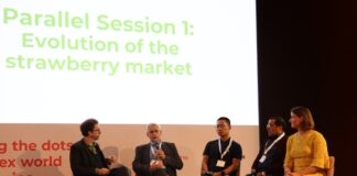 Państwo, rynek i presja regulacyjna na produkcję owoców jagodowych Michael Barker (pierwszy z lewej) prowadził debatę w której uczestniczyli (od lewej) Philippe Binard (BE), General delegate of Freshfel Europe, Huan Zhang (CN), Consultant and founder of Twinkle Star Berry, Nabil Belmkaddem (MA), GM Cooperative BestBerries (AMPFR) i Anouk Sijmonsma (BE), Regional manager Europe, The International Fresh Produce Association