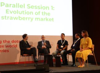 Państwo, rynek i presja regulacyjna na produkcję owoców jagodowych Michael Barker (pierwszy z lewej) prowadził debatę w której uczestniczyli (od lewej) Philippe Binard (BE), General delegate of Freshfel Europe, Huan Zhang (CN), Consultant and founder of Twinkle Star Berry, Nabil Belmkaddem (MA), GM Cooperative BestBerries (AMPFR) i Anouk Sijmonsma (BE), Regional manager Europe, The International Fresh Produce Association