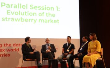 Państwo, rynek i presja regulacyjna na produkcję owoców jagodowych Michael Barker (pierwszy z lewej) prowadził debatę w której uczestniczyli (od lewej) Philippe Binard (BE), General delegate of Freshfel Europe, Huan Zhang (CN), Consultant and founder of Twinkle Star Berry, Nabil Belmkaddem (MA), GM Cooperative BestBerries (AMPFR) i Anouk Sijmonsma (BE), Regional manager Europe, The International Fresh Produce Association