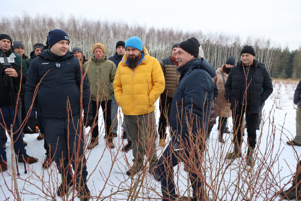 W trakcie rozmowy o ważnych zasadach cięcia odmiany Cargo