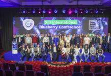 Największa konferencja borówkowa w tej części świata już w marcu w Polsce