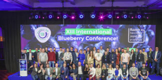 Największa konferencja borówkowa w tej części świata już w marcu w Polsce
