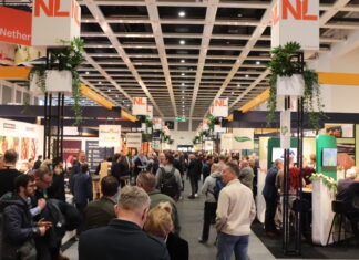 Targi Fruit Logistica 2026. Nowe odmiany i technologie dla jagodowych