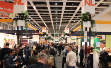 Targi Fruit Logistica 2026. Nowe odmiany i technologie dla jagodowych