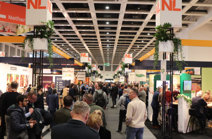 Targi Fruit Logistica 2026. Nowe odmiany i technologie dla jagodowych