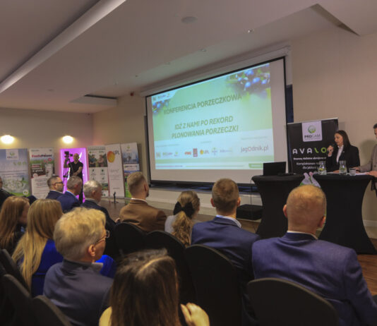 Pierwsza Konferencja Porzeczkowa 2026. W kierunku wyższych plonów Po raz pierwszy odbyła się 5 lutego Konferencja Porzeczkowa 2026