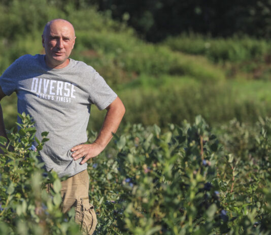 Paweł Korfanty szczerze o rynku borówki w Polsce