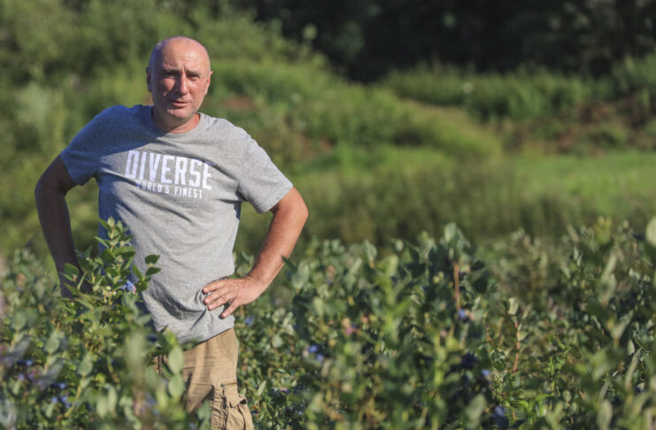 Paweł Korfanty szczerze o rynku borówki w Polsce