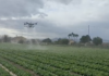 Drony w uprawach polowych w Hiszpanii dron, oprysk, opryskiwacz