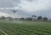 Drony w uprawach polowych w Hiszpanii dron, oprysk, opryskiwacz