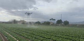 Drony w uprawach polowych w Hiszpanii dron, oprysk, opryskiwacz