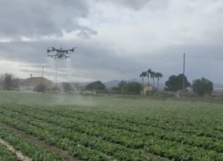 Drony w uprawach polowych w Hiszpanii dron, oprysk, opryskiwacz