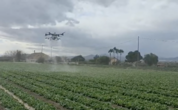 Drony w uprawach polowych w Hiszpanii dron, oprysk, opryskiwacz