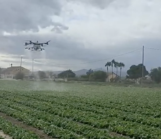 Drony w uprawach polowych w Hiszpanii dron, oprysk, opryskiwacz