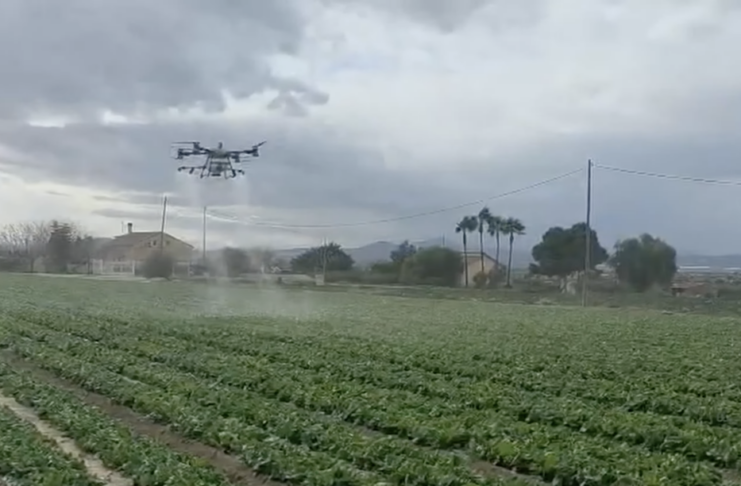 Drony w uprawach polowych w Hiszpanii dron, oprysk, opryskiwacz