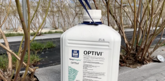 YaraAmplix Optivi – nowy biostymulator w uprawach jagodowych YaraAmplix Optivi