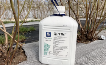 YaraAmplix Optivi – nowy biostymulator w uprawach jagodowych YaraAmplix Optivi