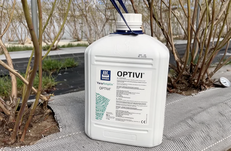 YaraAmplix Optivi – nowy biostymulator w uprawach jagodowych YaraAmplix Optivi