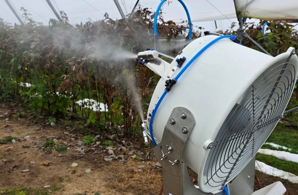 Zamgławianie tunelu z uprawą malin
