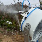 Zamgławianie tunelu z uprawą malin