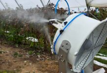 Nowe możliwości aplikacji produktów w uprawach jagodowych – drony, zamgławianie i biostymulacja Zamgławianie tunelu z uprawą malin