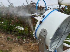 Nowe możliwości aplikacji produktów w uprawach jagodowych – drony, zamgławianie i biostymulacja Zamgławianie tunelu z uprawą malin