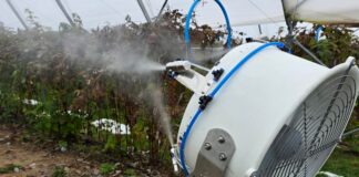 Nowe możliwości aplikacji produktów w uprawach jagodowych – drony, zamgławianie i biostymulacja Zamgławianie tunelu z uprawą malin