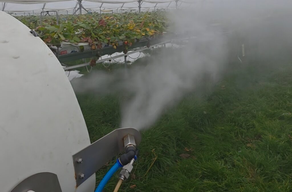 Zamgławianie tunelu z uprawą truskawek